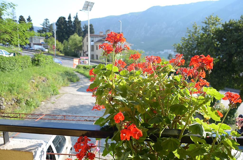Apartment Luka Kotor Exteriér fotografie